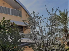 הרצליה פיתוח בית משופץ ומודרני עם בריכה להשכרה