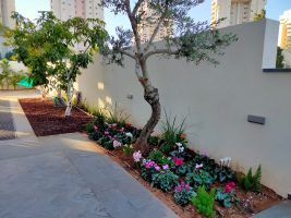 בית עם בריכה למכירה בהרצליה הצעירה