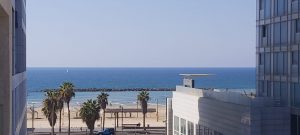 רחוב הירקון דירת 3 חדרים להשכרה