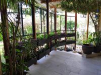 הרצליה פיתוח בית עם מרתף להשכרה