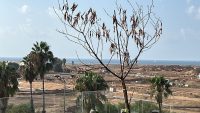 כוכב הצפון הפילהרמונית דירת 5 חדרים שהפכו ל-4 להשכרה / למכירה