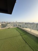 רמת אביב החדשה פנטהאוז דופלקס 6 חדרים להשכרה