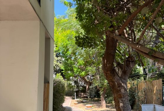 רמת אביב הירוקה דופלקס פנטהאוז חדש להשכרה