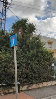 הרצליה פיתוח בית לשיפוץ והריסה למכירה